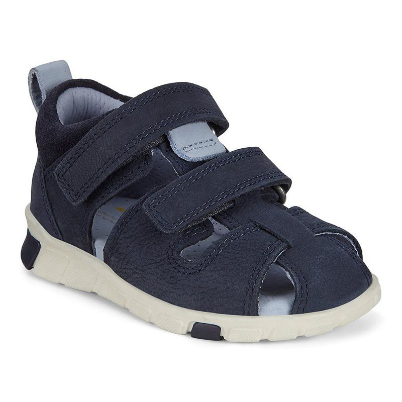 Kids Ecco Mini Stride Sandal - Sandals Blue - India PFQXIY065